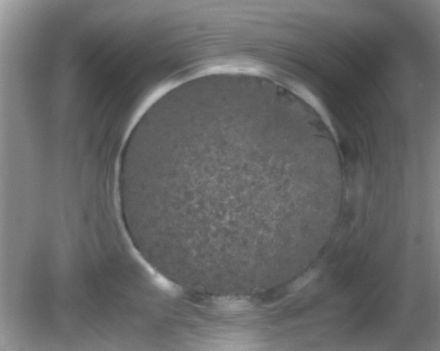 X0000082201103200701270112