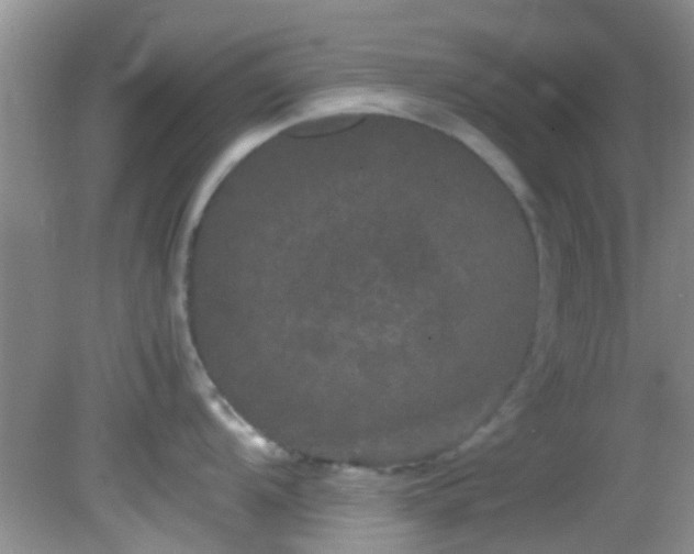 X0000082201104200701270112