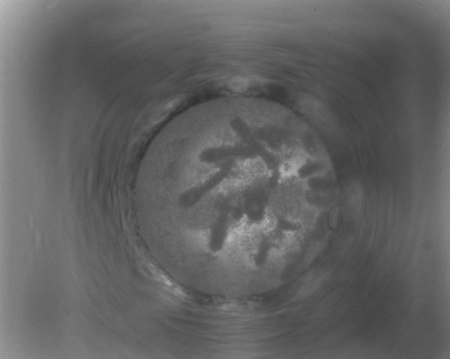 X0000082201105200701270111