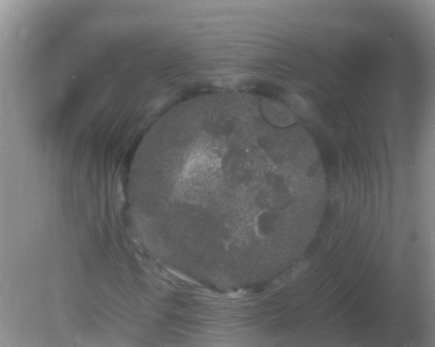 X0000082201106200701270111