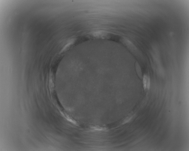 X0000082201107200701270111