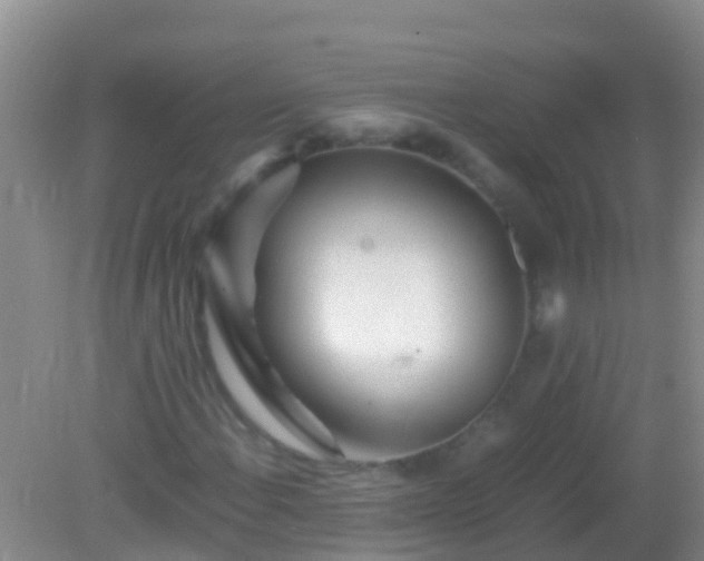 X0000082201108200701270111