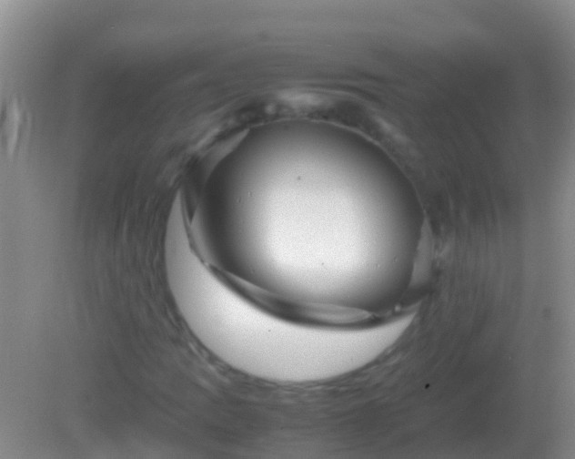 X0000082201109200701270111