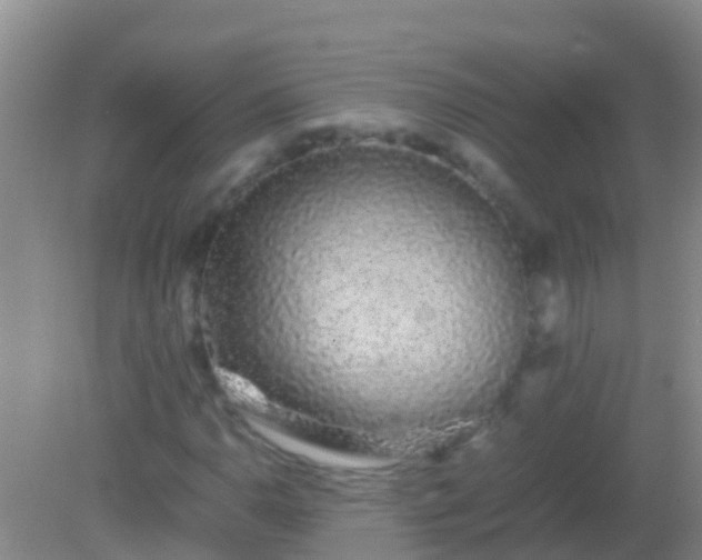 X0000082201110200701270111