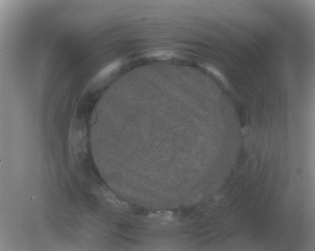 X0000082201111200701270111