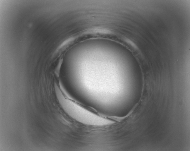 X0000082201112200701270111