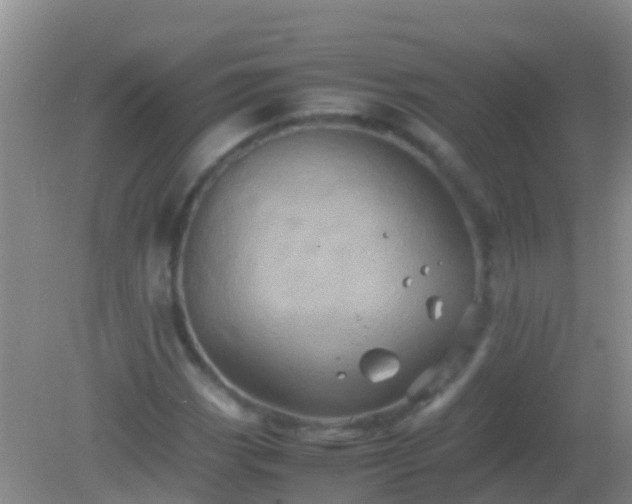 X0000082201113200701270111