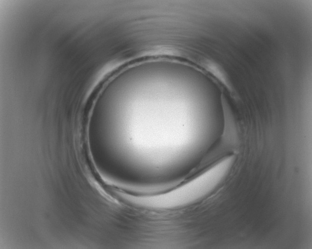 X0000082201116200701270111