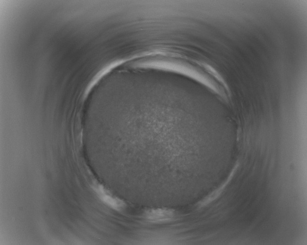 X0000082201117200701270111