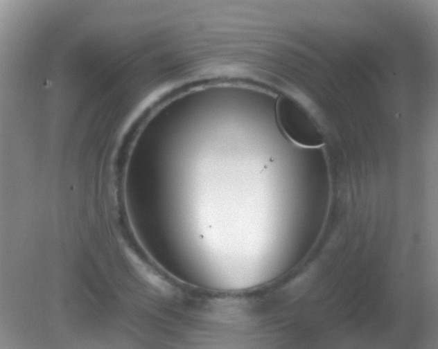 X0000082201118200701270111