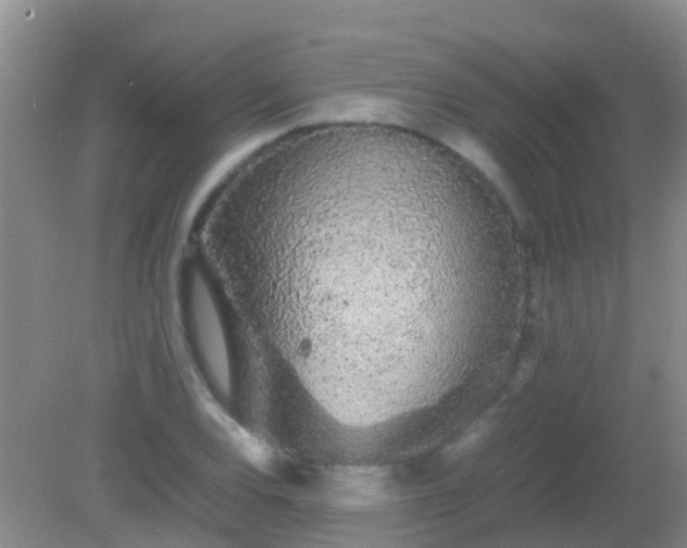 X0000082201120200701270111