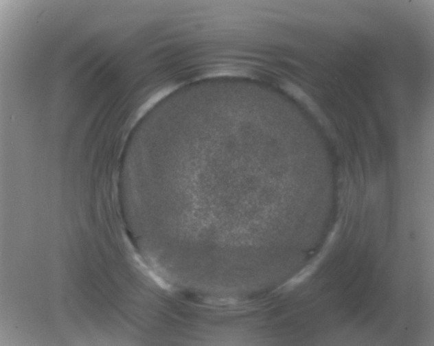 X0000082201121200701270111