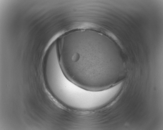 X0000082201122200701270111