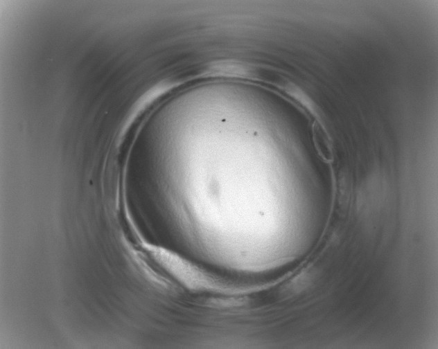 X0000082201123200701270111