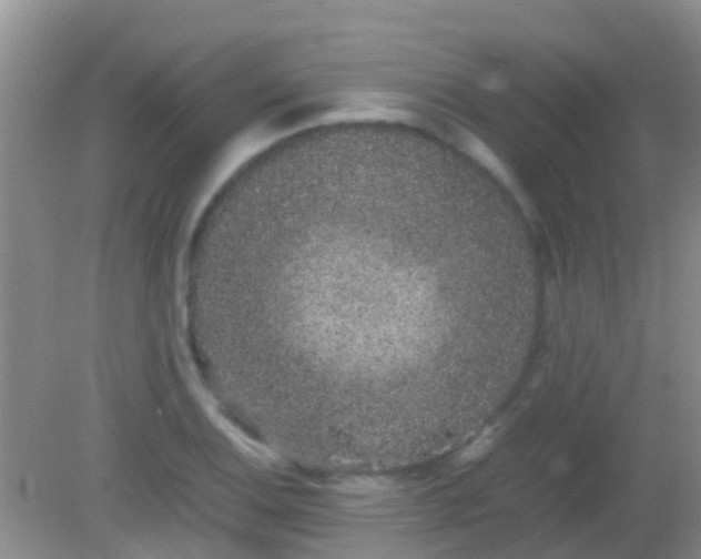 X0000082201124200701270111