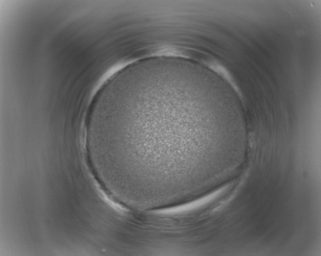 X0000082201125200701270111