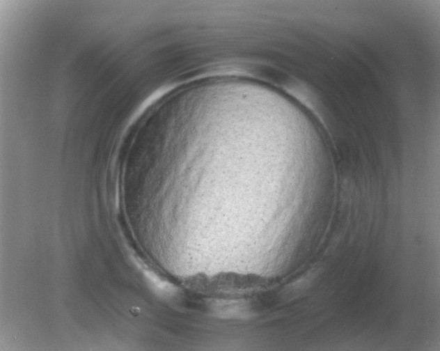 X0000082201127200701270111