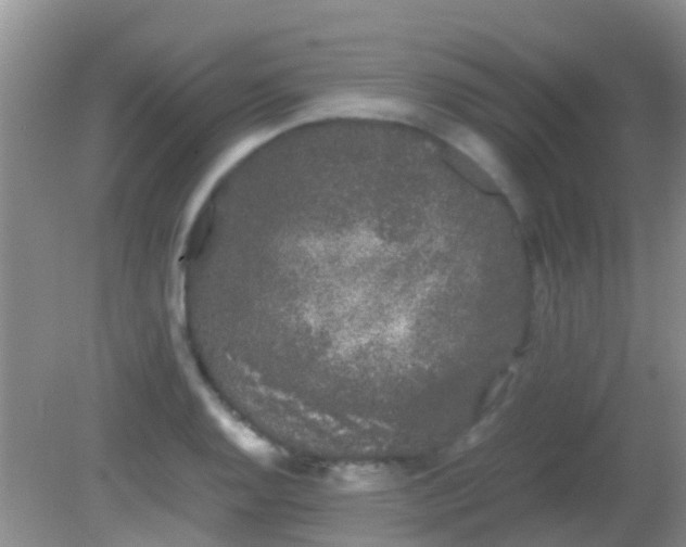 X0000082201128200701270111