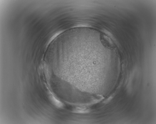 X0000082201129200701270111