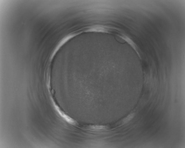 X0000082201131200701270111