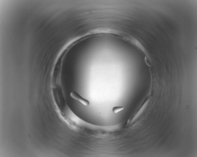 X0000082201132200701270111