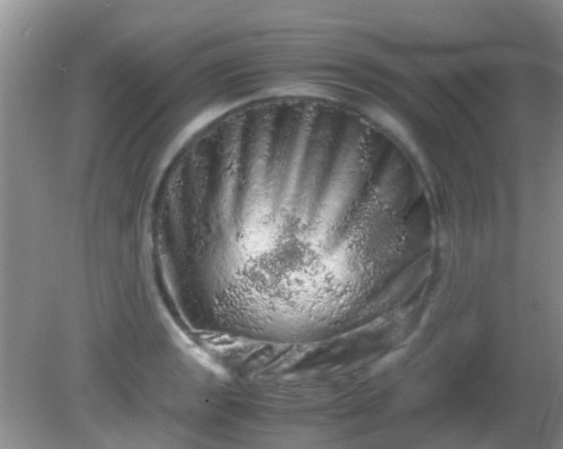 X0000082201133200701270111