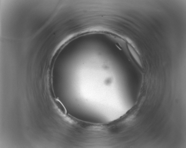 X0000082201134200701270111