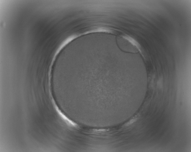 X0000082201135200701270111