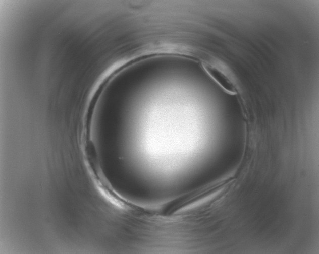 X0000082201136200701270111