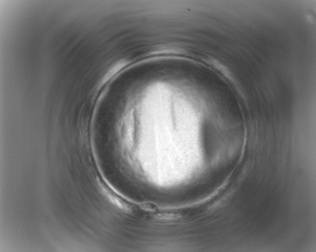 X0000082201137200701270111