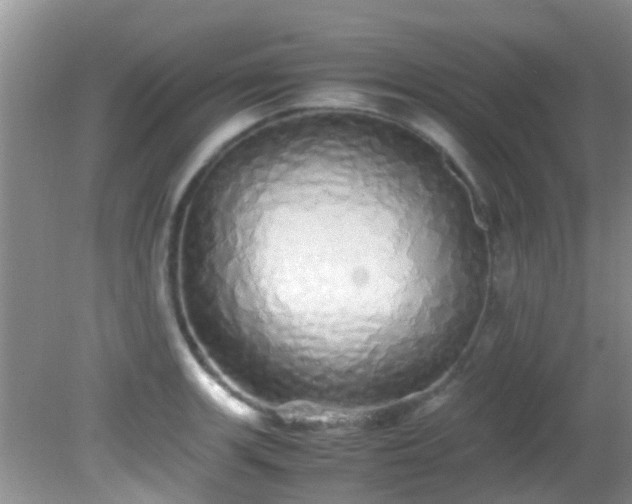 X0000082201139200701270111