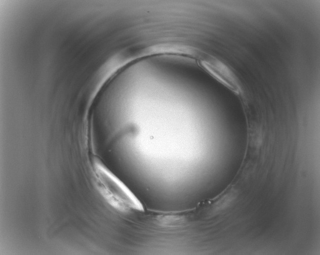 X0000082201140200701270111