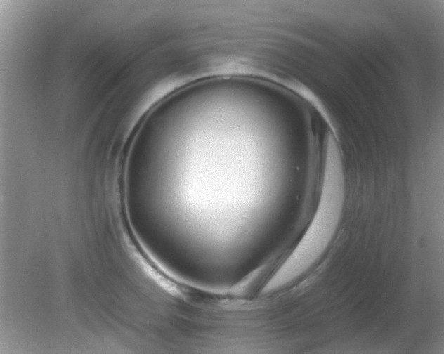 X0000082201142200701270111