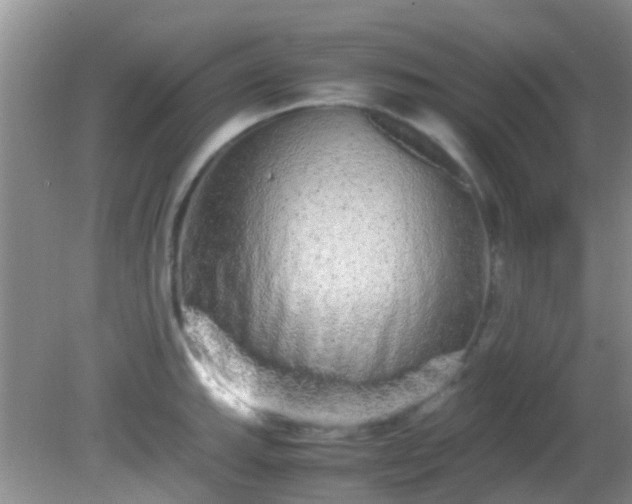 X0000082201143200701270111