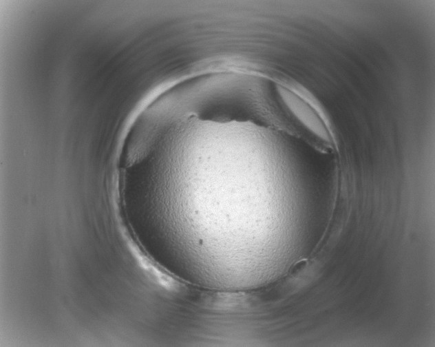 X0000082201144200701270111