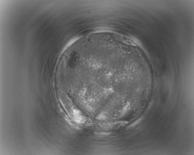 X0000082201145200701270111