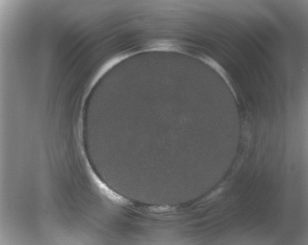 X0000082201147200701270111