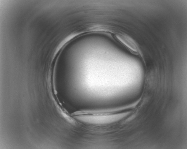 X0000082201149200701270111