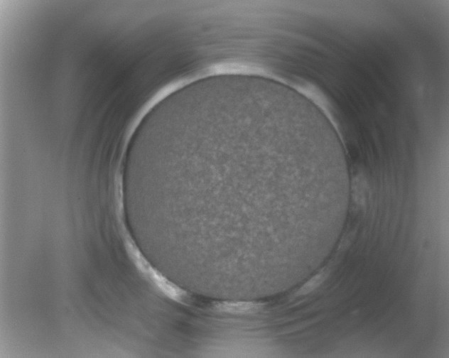 X0000082201150200701270111