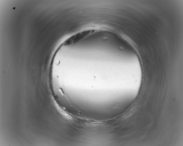 X0000082201152200701270112