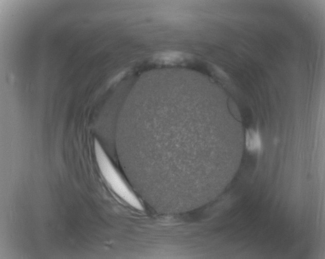 X0000082201155200701270111