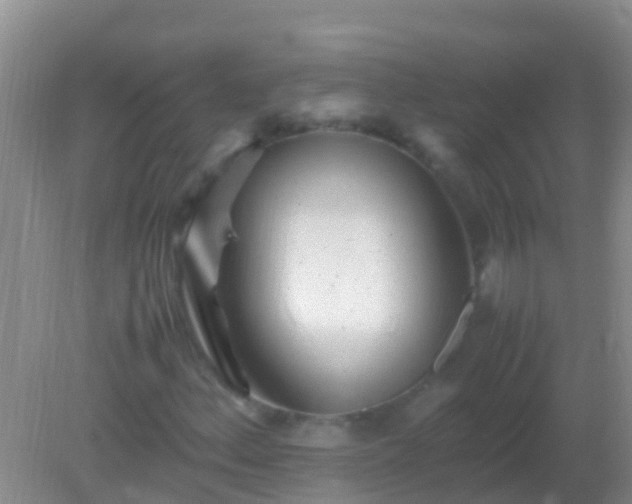 X0000082201156200701270111