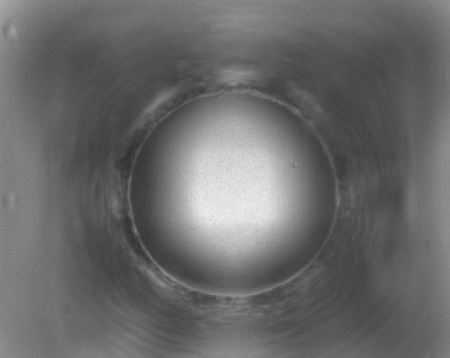 X0000082201158200701270111