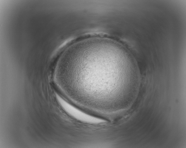 X0000082201159200701270111