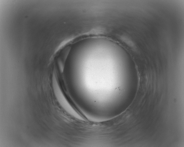 X0000082201160200701270111