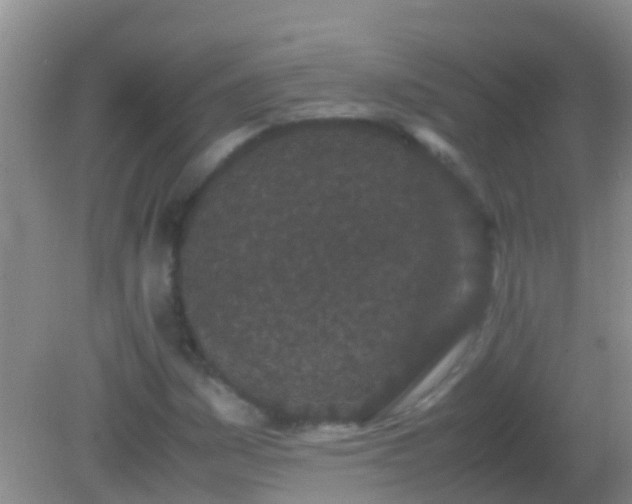 X0000082201161200701270111