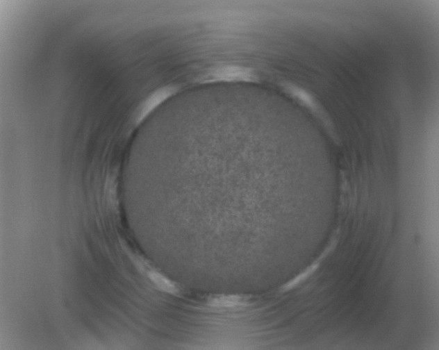 X0000082201162200701270111