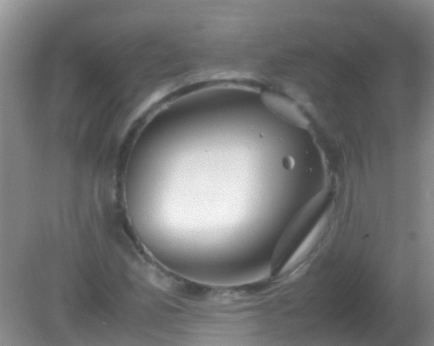 X0000082201165200701270111