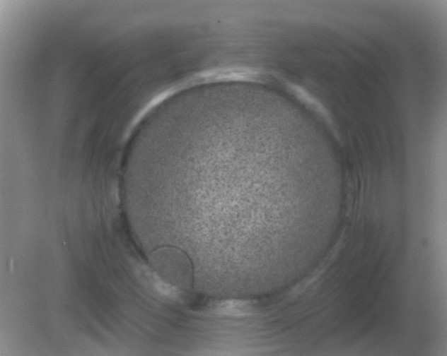 X0000082201166200701270110