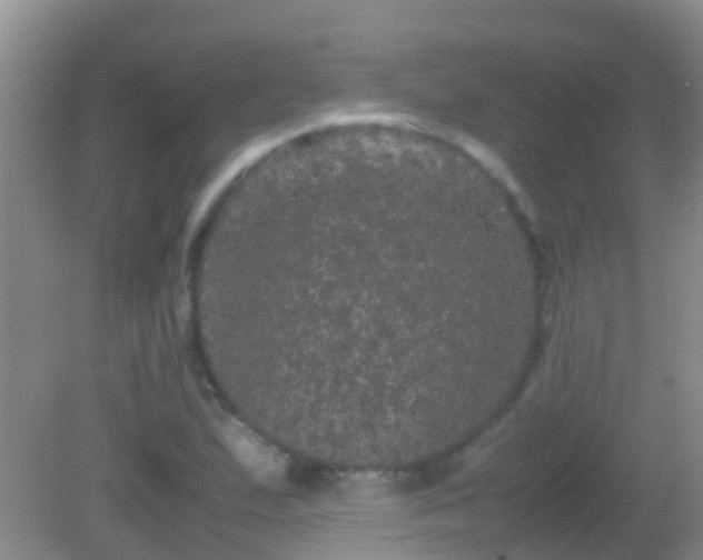 X0000082201167200701270110